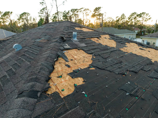 Best Gutter Installation and Repair  in Cohoes, NY