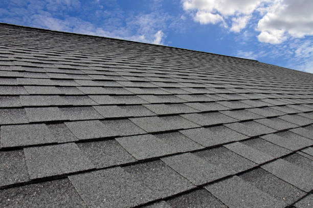 Siding in Cohoes, NY